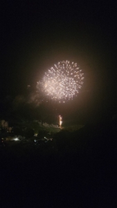 夏は正面に花火も見えます