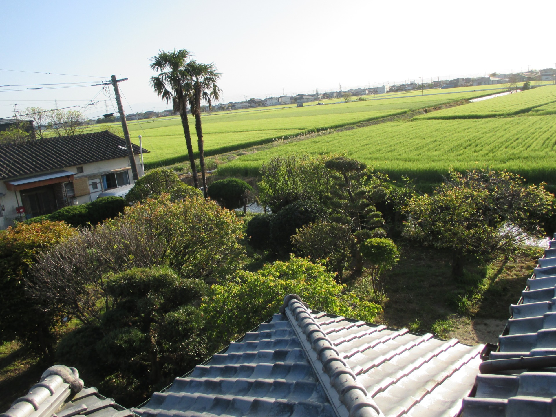 太陽の恵みと緑豊かな風景、自然と共存できる敷地150坪超えの邸宅 4