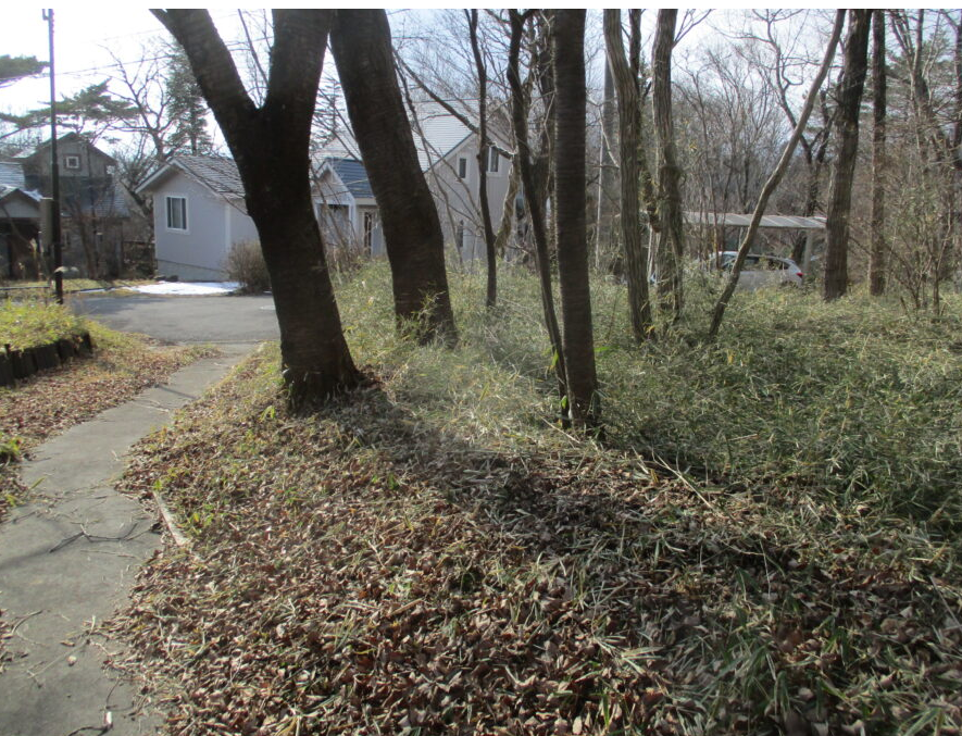 売地 那須高原別荘地・ブリーズビレッチ内・ 日光国立公園普通地域内 5