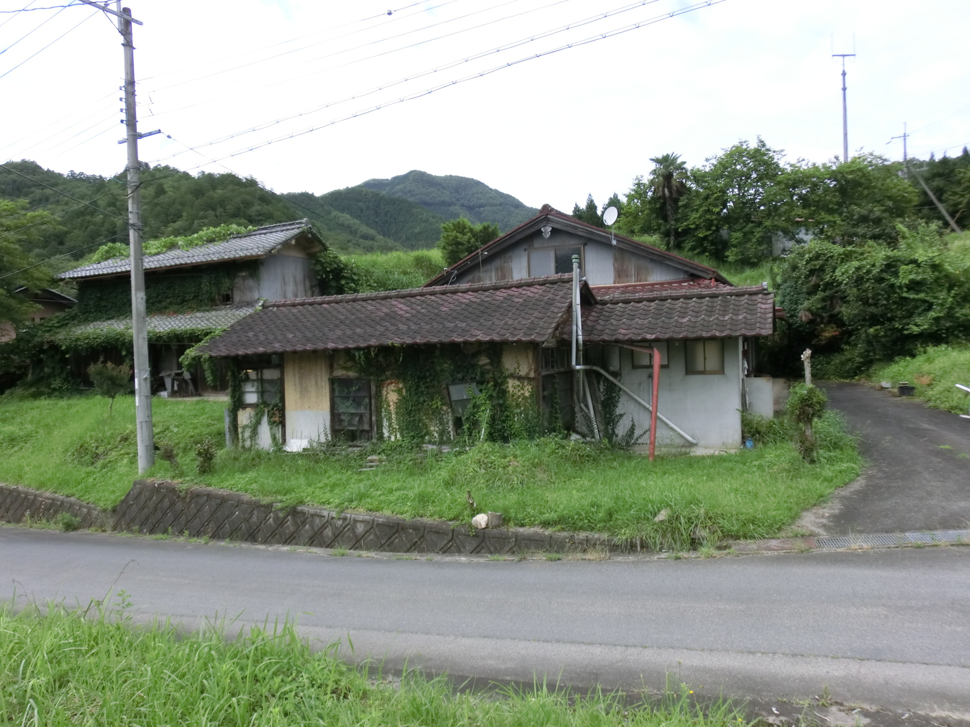 和知のワイルドライフを満喫できるロケーション 古家をセルフリノベーションしてみませんか 3