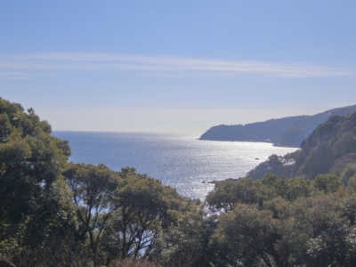 バルコニー正面