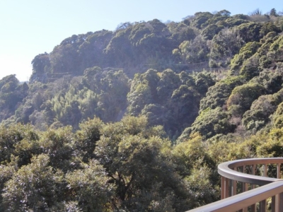 バルコニー右手