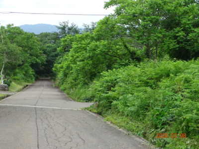 6M幅の道路に接してます(周辺)