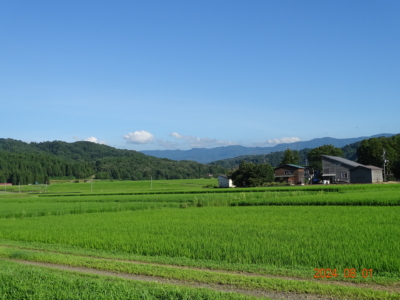 一面に広がる田園風景