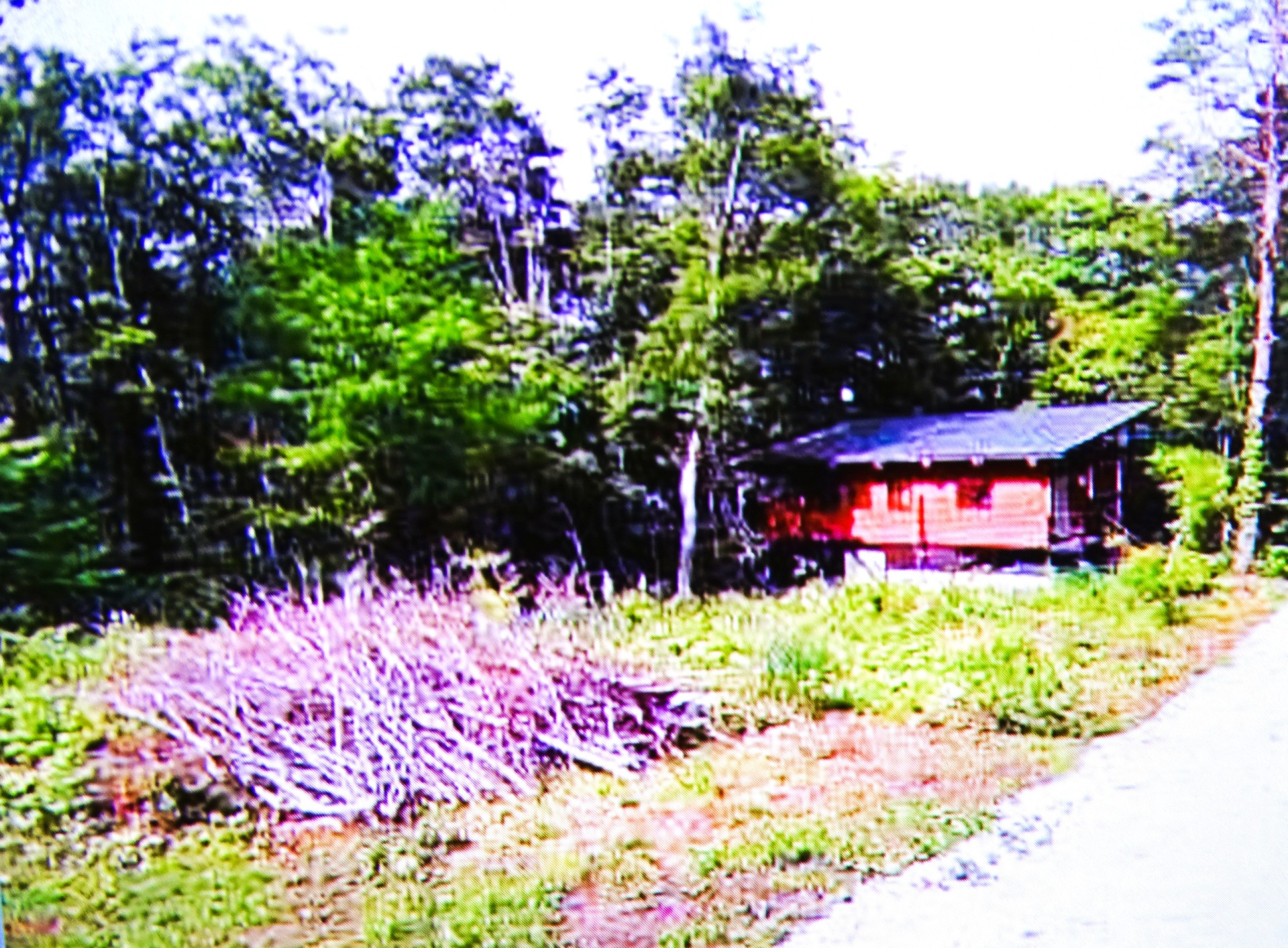 信州信濃町野尻湖字神山別荘用地 2