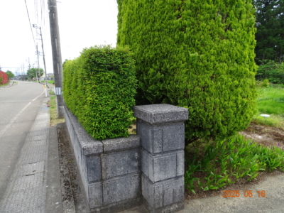 (玄関)