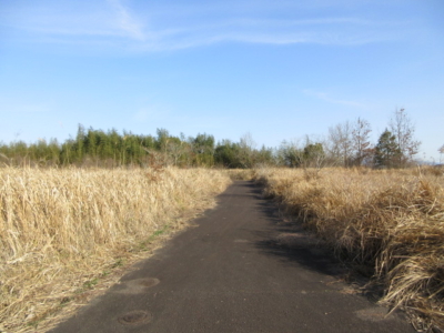 分譲地内道路は公道です。