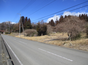 那須町高久甲土地