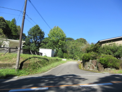 県道から分譲地を見る