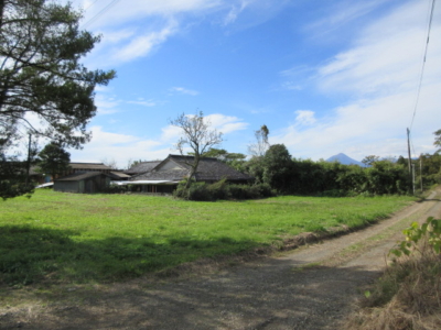 道の左が菜園(畑)になります