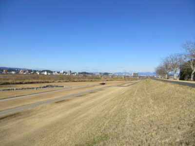 大淀川、河川敷