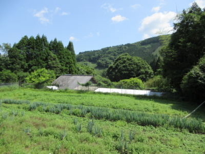 遠景、手前の畑は違います(外観)