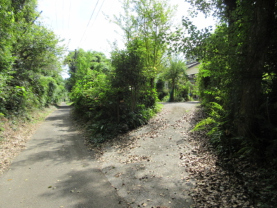 左公道、右進入路(周辺)