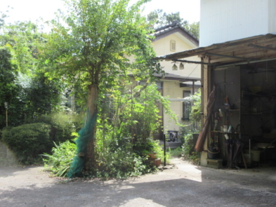 進入路から玄関側を見る
