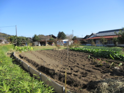土地の一部を菜園として利用
