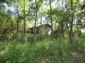 南側町道より一段高く陽当りの良い土地です、廃屋あり