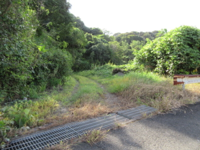 北側の未舗装通路