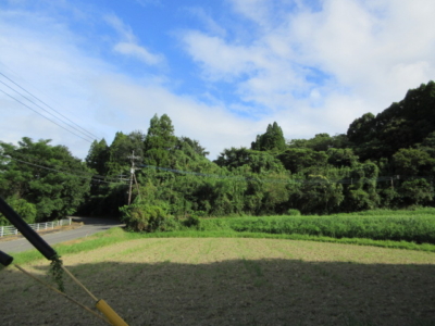 南側隣地は農地です