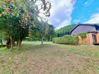 実りの秋…敷地内に柿と栗の木があります！