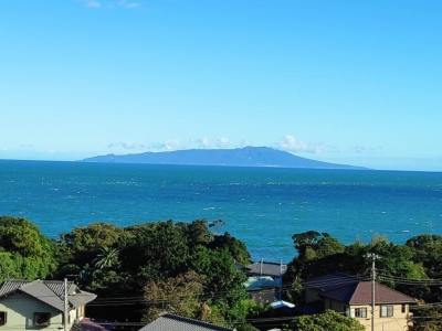海・伊豆大島を見下ろします