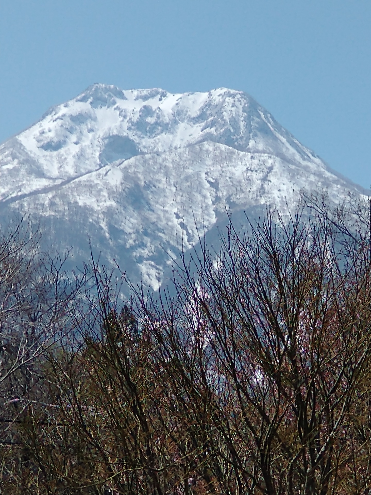 宿舎・民泊・別荘・居宅 5