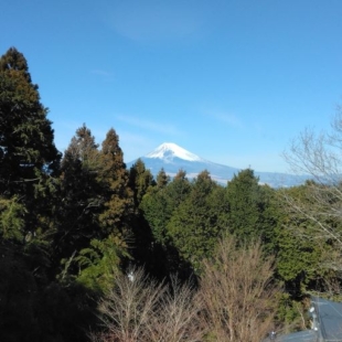 富士山望む(周辺)