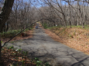 羽鳥湖・平和郷別荘地内土地