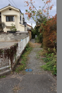 前面道路(周辺)