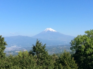 富士山望む別荘 温泉可