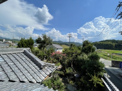 広がる田園風景