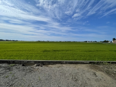 敷地から見た風景(周辺)