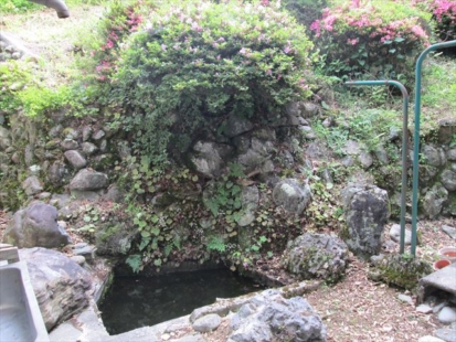 山からの湧き水の庭の小さな池(周辺)