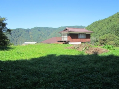 一段高い地続きの畑(周辺)