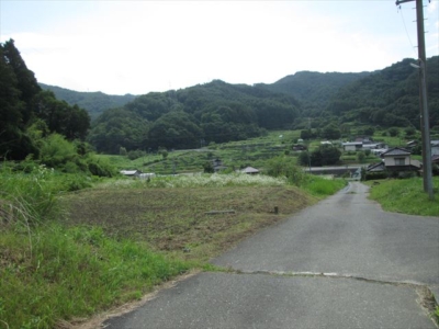 畑（家から500ｍ位のところにあります）