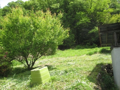 地続きの畑(周辺)