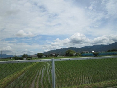 離れから見る田園風景(周辺)