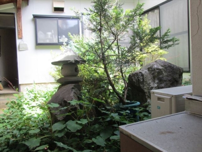 中庭