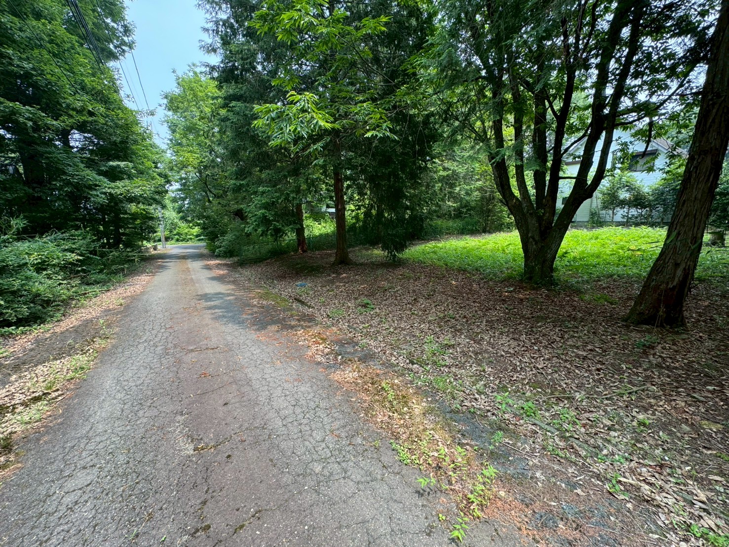 風と森の別荘地 「びわこ台」 滋賀県湖西の静かな里山の地でのどかな暮しを 3