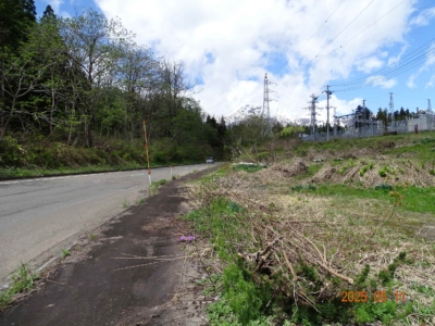 県道北側(地図)