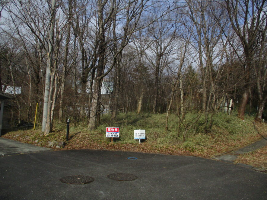 売地 那須高原別荘地・ブリーズビレッチ内・ 日光国立公園普通地域内 3