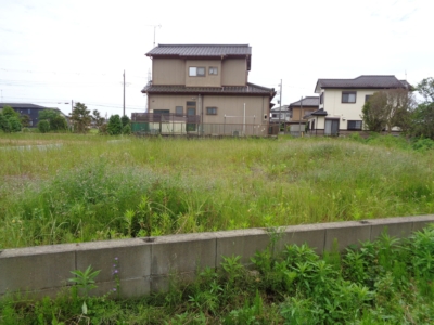 北側より(外観)
