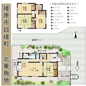 (間取)
