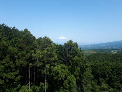 富士山望む(周辺)