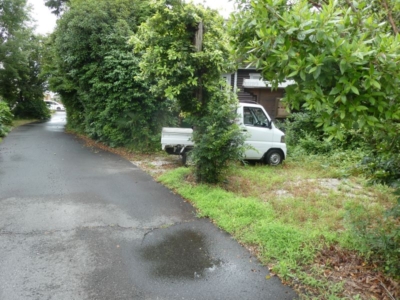 道路から