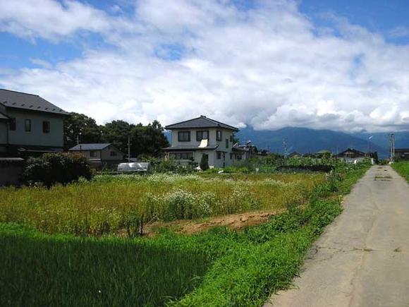 何よりも中央、南アルプスが綺麗!!開放的な景色が味わえます。 2