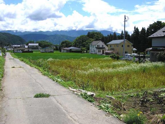 何よりも中央、南アルプスが綺麗!!開放的な景色が味わえます。 3