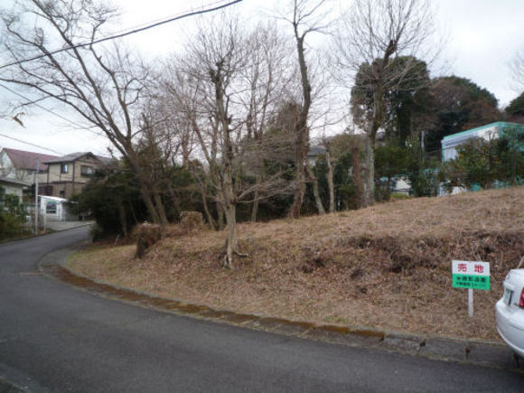 伊豆の温泉付き土地 敷地はほぼ平坦 3
