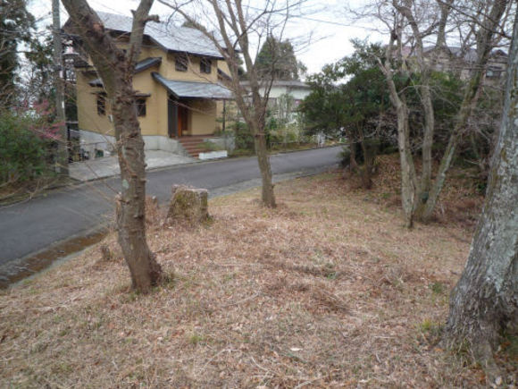 伊豆の温泉付き土地 敷地はほぼ平坦 4
