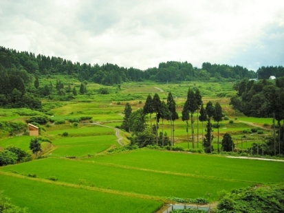 高柳門出の典型風景です。