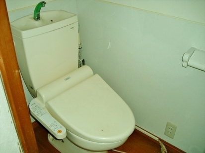 トイレは浄化槽水洗です。